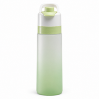 20oz Water Bottle With Built In Handle