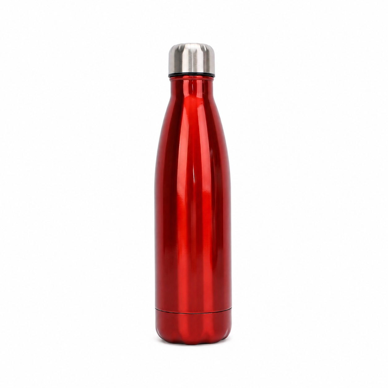 Stainless Steel Vacuum Water Bottle