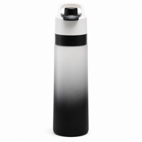 20oz Water Bottle With Built In Handle