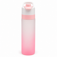 20oz Water Bottle With Built In Handle
