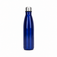Stainless Steel Vacuum Water Bottle