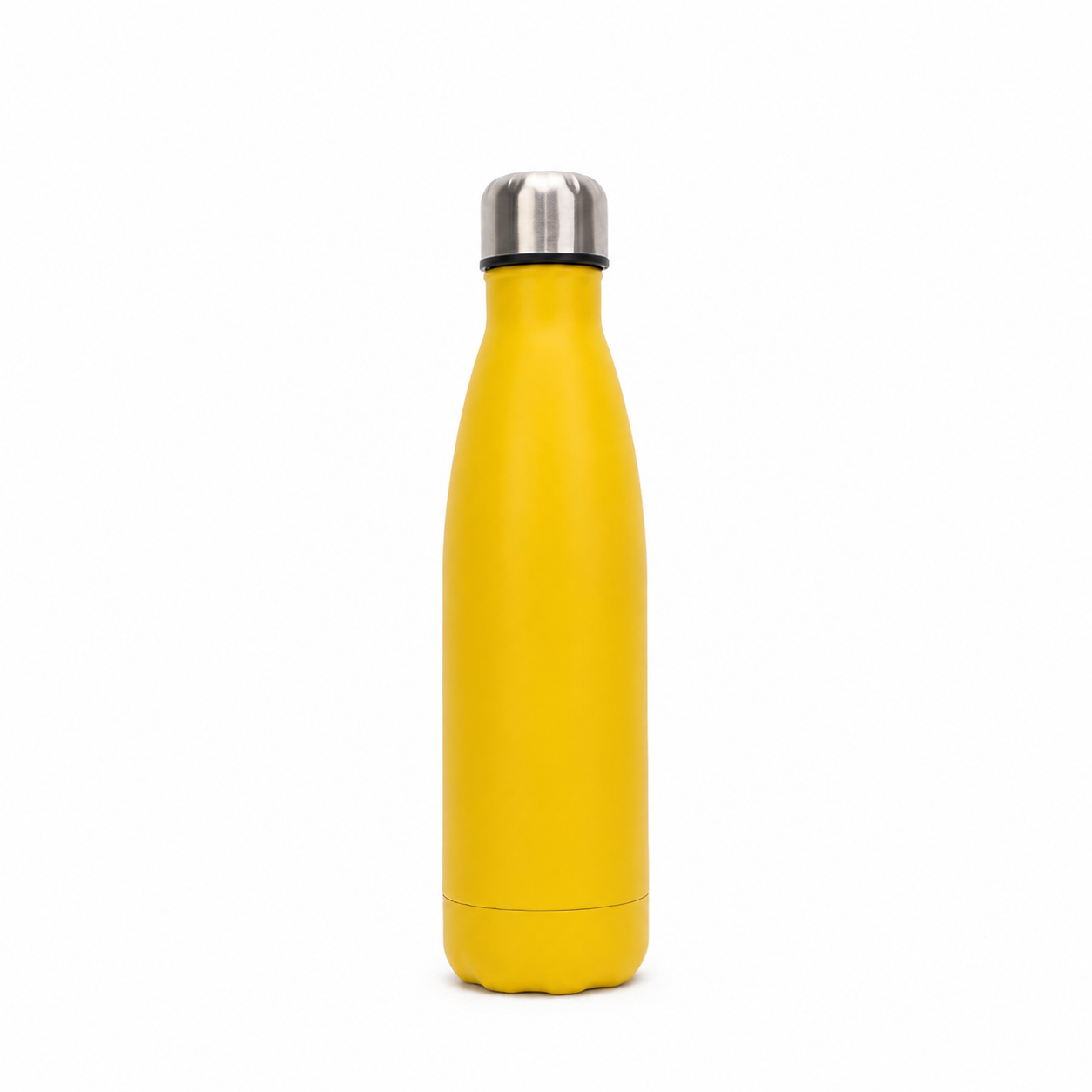 Stainless Steel Vacuum Water Bottle
