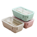 Eco-Friendly Lunch Box