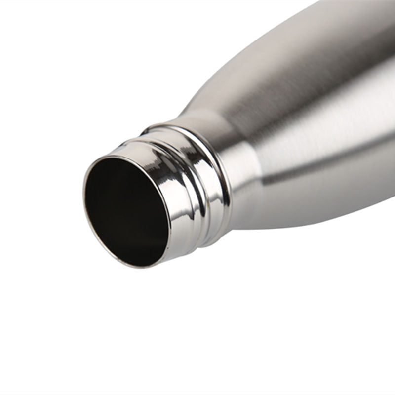 Stainless Steel Vacuum Water Bottle