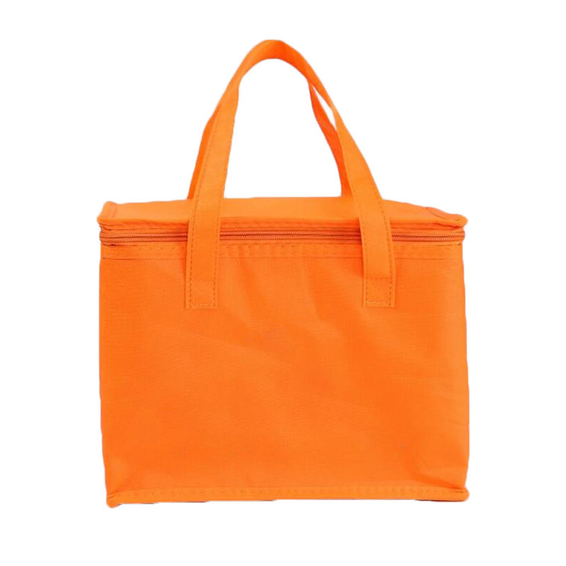 Nonwoven Cooler Bag