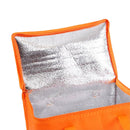 Nonwoven Cooler Bag
