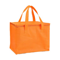 Nonwoven Cooler Bag